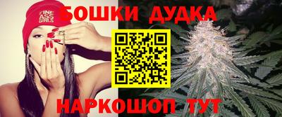 ешки Новозыбков