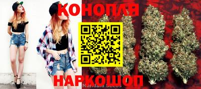 ешки Новозыбков