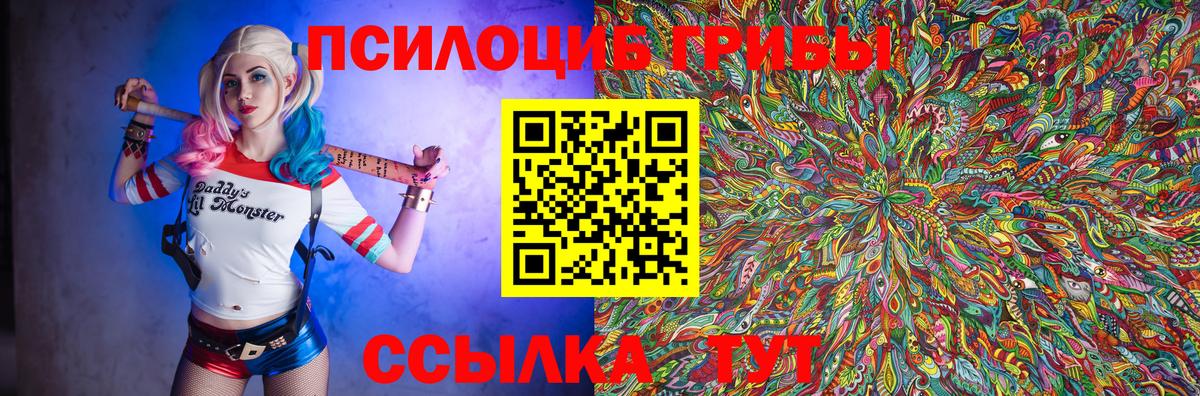 Псилоцибиновые грибы мицелий Усть-Джегута