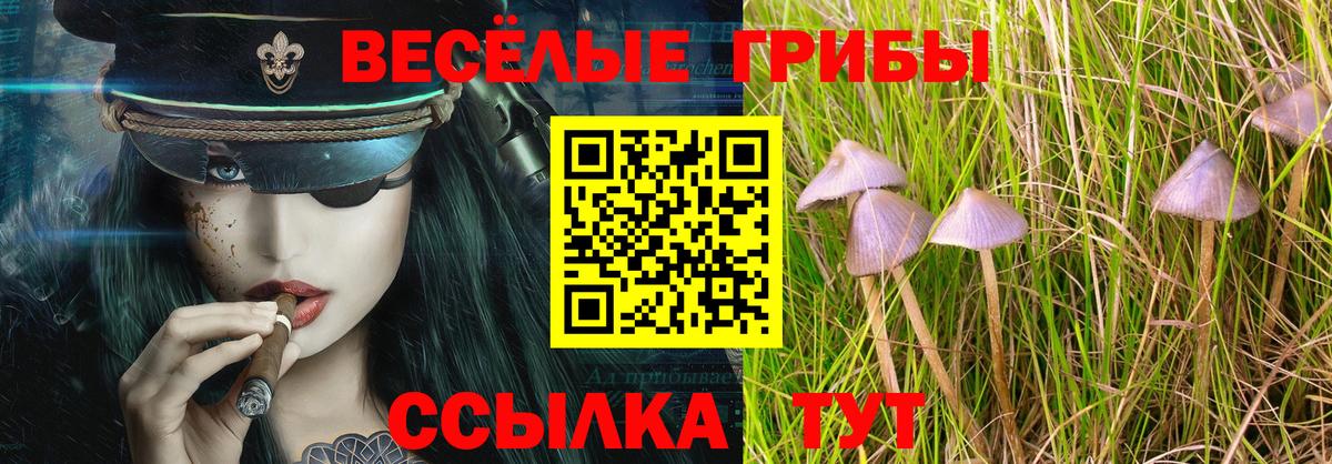 Псилоцибиновые грибы Psilocybine cubensis  купить  цена  Галлюциногенные грибы GOLDEN TEACHER  Усть-Джегута  Вход с VPN 