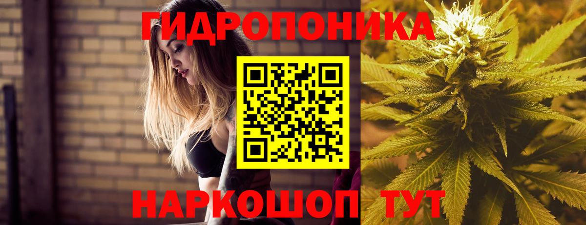 Марихуана планчик  Марихуана Amnesia  Усть-Джегута  Вход с VPN  Конопля гибрид 